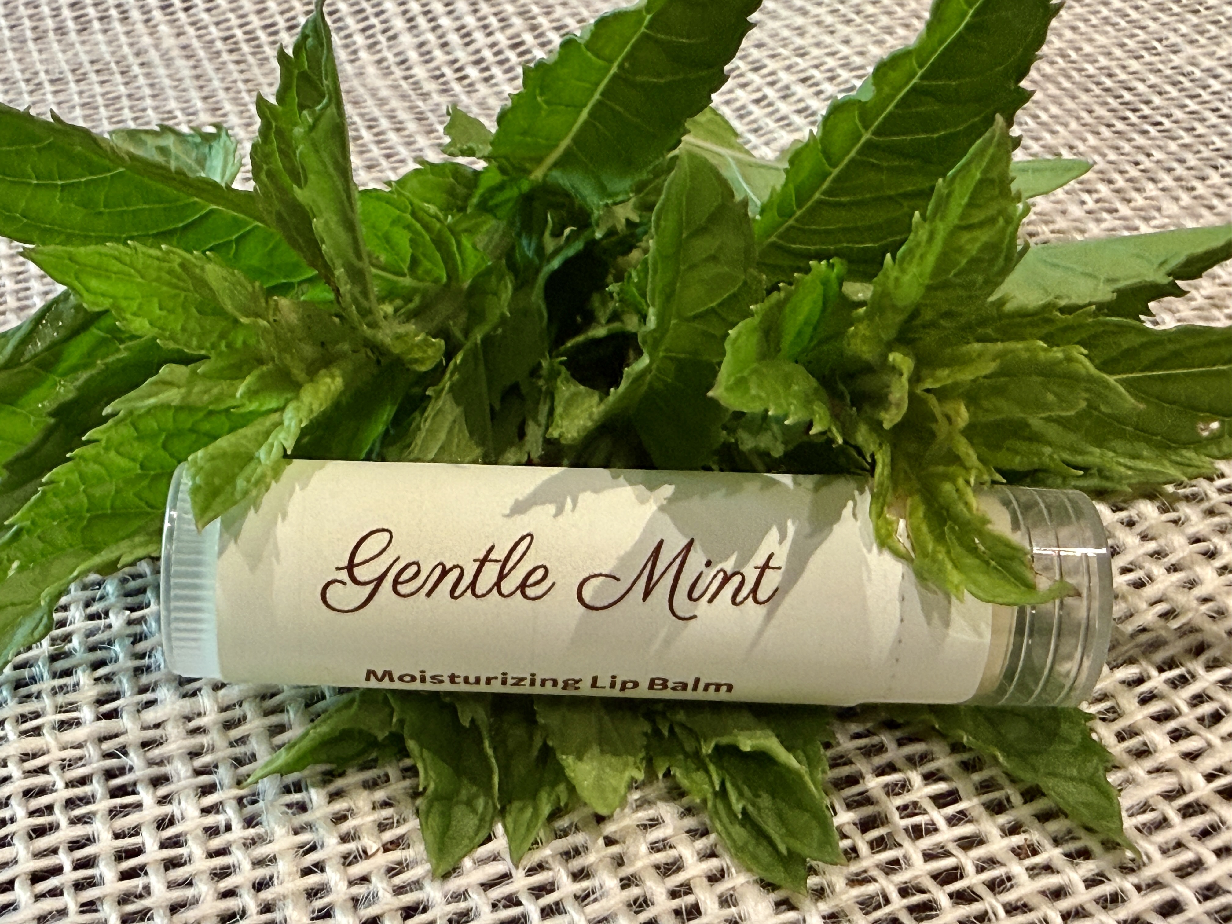 Gentle Mint Lip Balm
